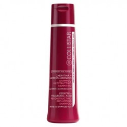 CLS SCP SHAMP.RICOSTR.250
